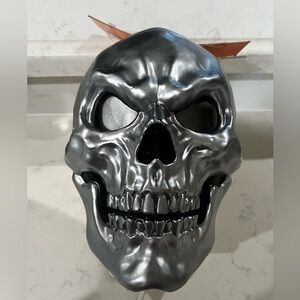 Target Silver Skull Wall Art